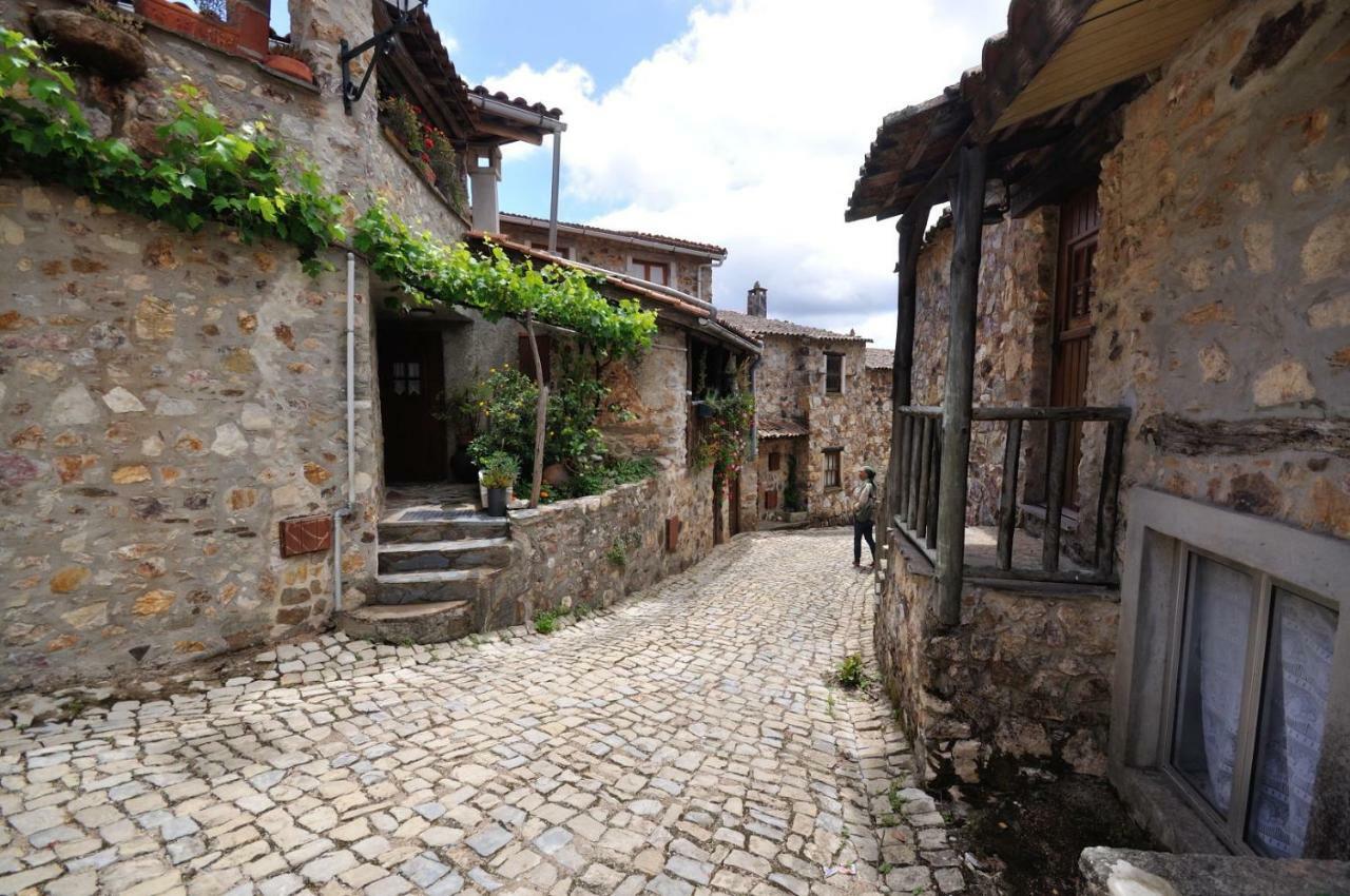 Casa Do Olival Vila Figueiro Dos Vinhos Exterior foto