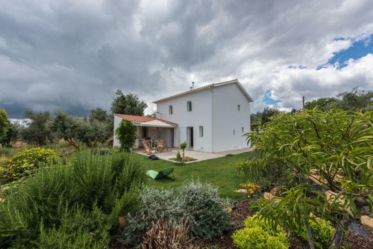 Casa Do Olival Vila Figueiro Dos Vinhos Exterior foto